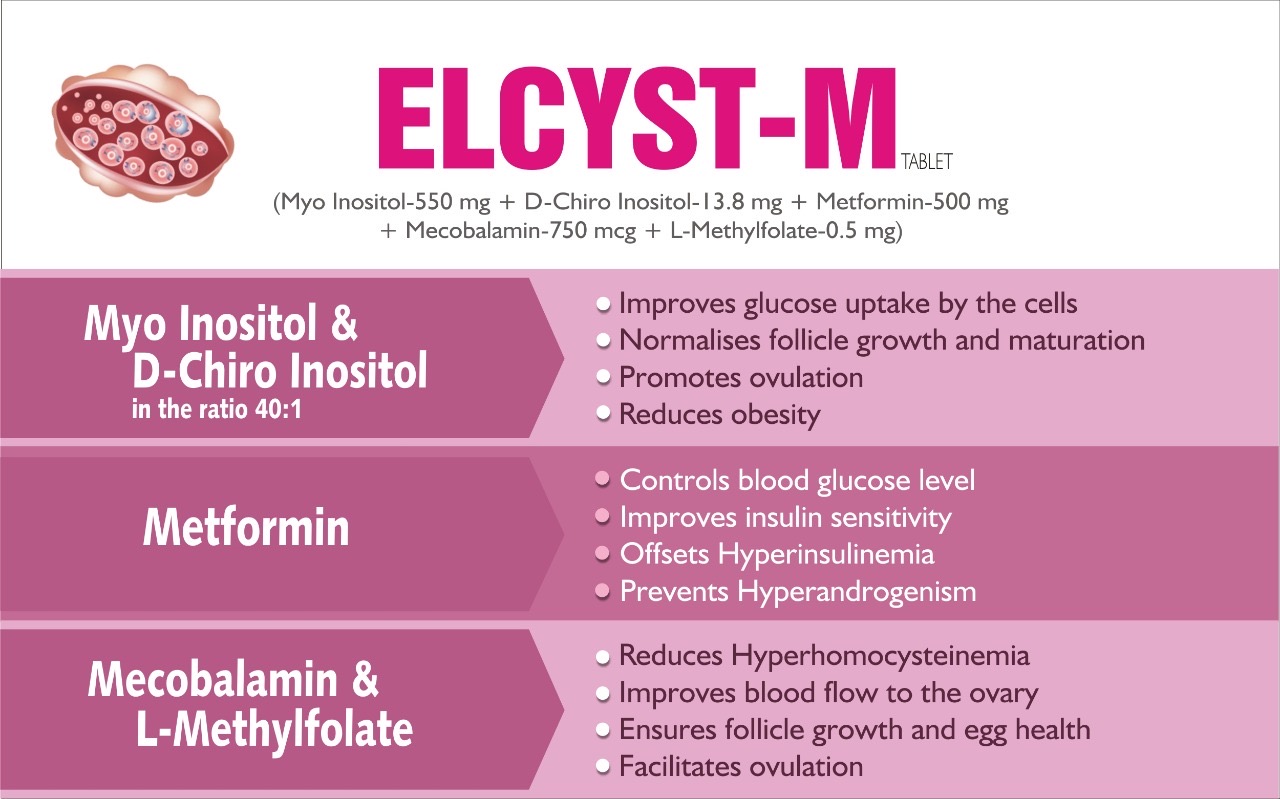 Elcyst